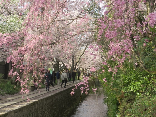 【直前割】京都の冬から春、「まだ間に合うかな」の計画にお応え
